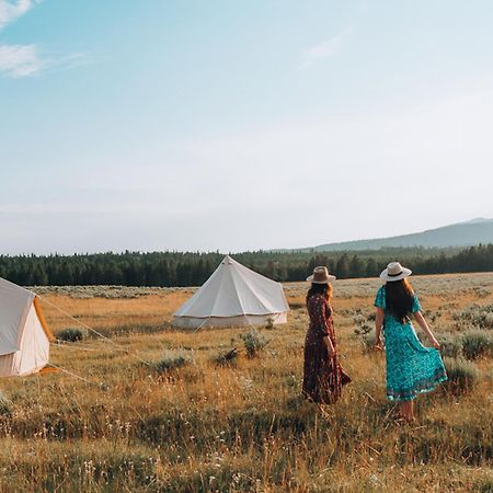 Wander Camp Yellowstone ไอส์แลนด์พาร์ก ภายนอก รูปภาพ