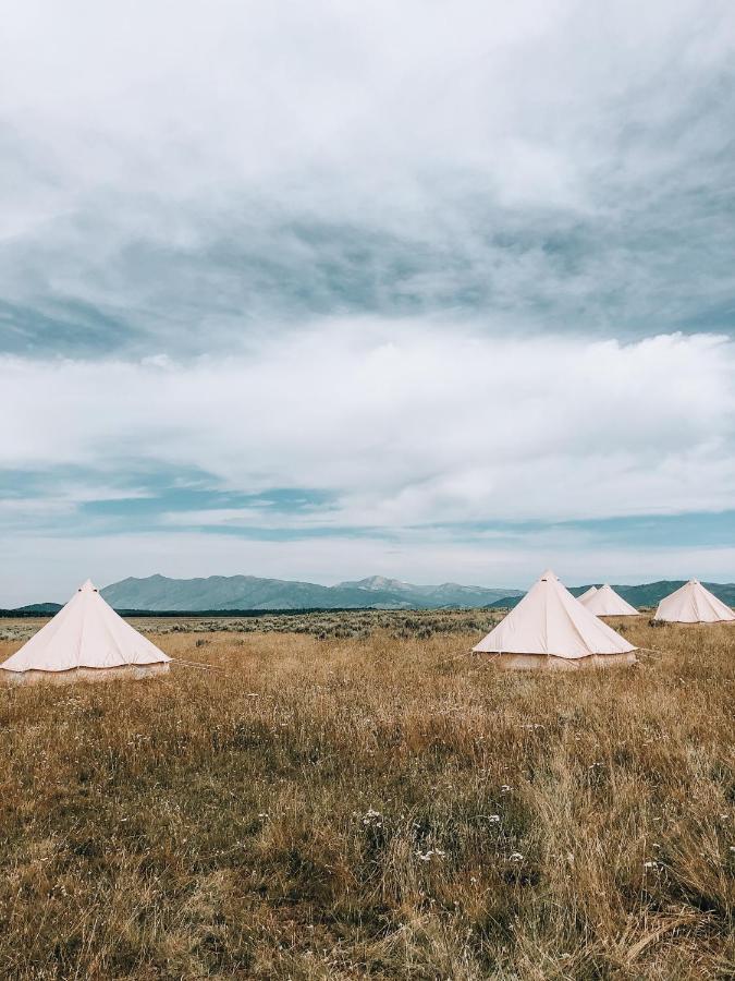 Wander Camp Yellowstone ไอส์แลนด์พาร์ก ภายนอก รูปภาพ